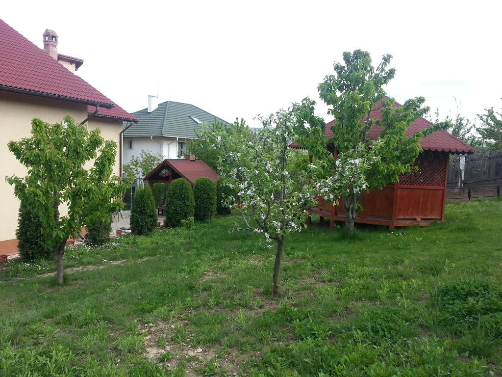 Pension Ambiance Iasi Buitenkant foto